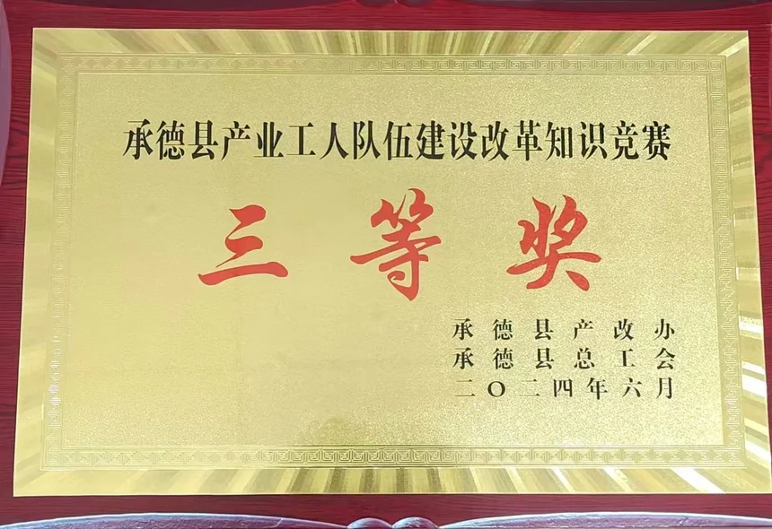 产业工人队伍建设改革知识竞赛三等奖